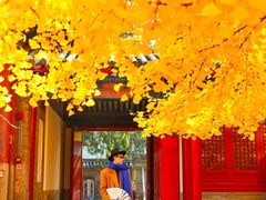 -承恩寺