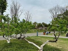 -府河摄影公园