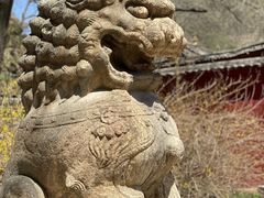 -五台山风景名胜区