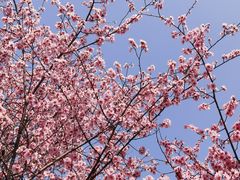 -白塘生态植物园