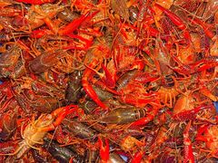-二钳洞庭虾蟹·江湖菜(成都鹭岛店)