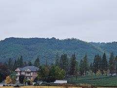-莫干山风景区