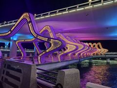 -演武大桥观景平台