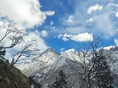 -成都南湖公园
