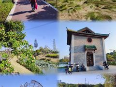 -王借岗森林公园