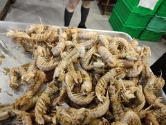 -生蚝园