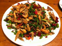 -京都小酒馆(悦城店)