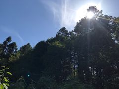 -武陵山森林公园