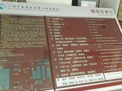 -广州中医药大学第一附属医院(总院)