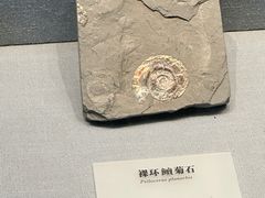 -湖南省地质博物馆