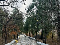 -阳台山自然风景区