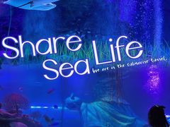 -沈阳海洋探索中心