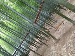 -陶祖圣境风景区