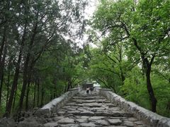 -阳台山自然风景区