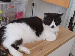 -平行世界·猫咖(首经贸店)
