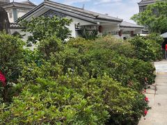 -瑞丰园庭院餐厅·白族传统家常菜