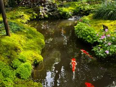 -Chom Cafe and Restaurant