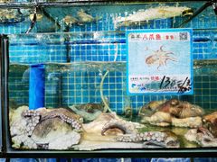 -范饭椰林川湘味海鲜·椰子鸡(三亚湾椰梦长廊店)