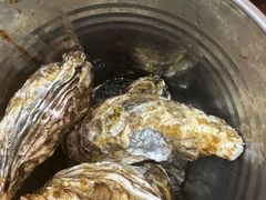 -仙螺岛海鲜自助餐厅(总店)