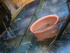 -头上红煨盐鸡·非遗院子餐厅