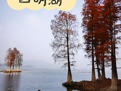 -四明湖