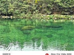 -石台牯牛降景区