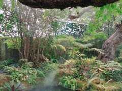 -Chom Cafe and Restaurant