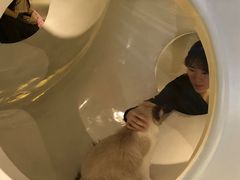 -中海环宇荟