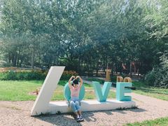 -朝阳公园游乐园