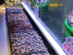 -聚盛源蒸汽海鲜火锅烤肉自助(巨川金海岸购物广场店)