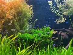 -上海海洋水族馆