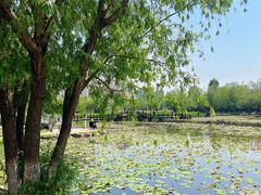 -前关湿地公园
