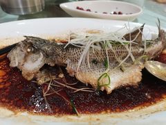 -东江海鲜酒家(艺都分店)