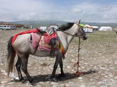 -青海湖国家重点风景名胜区