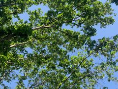 -云南省中医医院(光华院区)