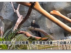 -红山森林动物园