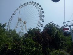 -富斯特索道