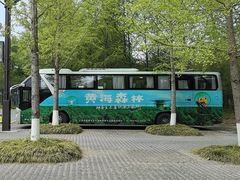 -黄海国家森林公园