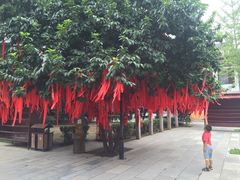 iphone_upload_pic-西安乐游原