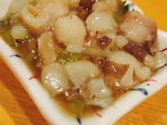 章鱼芥末-九州酒场ひこぞう(1号店)