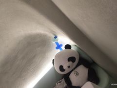 -眉州东坡·熊猫主题餐厅(枫蓝店)