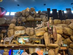 -卡通尼·Safari非洲探索乐园·生日会(金桥国际商业广场店)