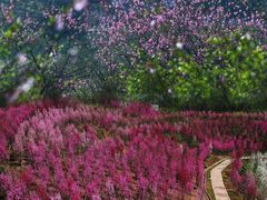 -常德桃花源景区