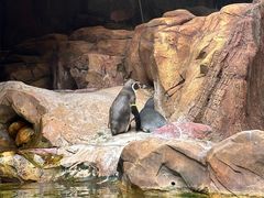 -长鹿旅游休博园