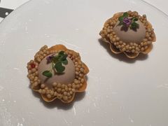 -觀芷隐轩