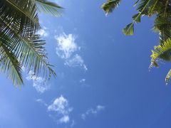 -白沙滩