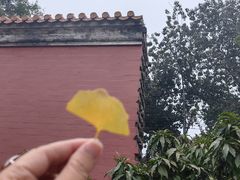 -景秀餐厅(南锣鼓巷店)