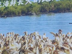 -虎婆冷饮店·海南特色炒冰(三亚湾店)