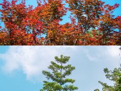 -广州市帽峰山景区