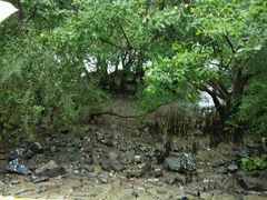 android_upload_pic-宝安西湾红树林湿地公园